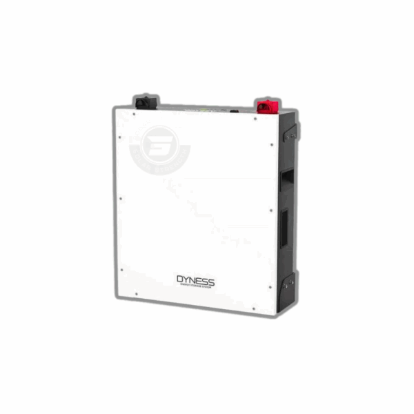 Dyness 5.12kWh Lithium Battery BX51100